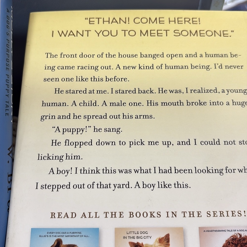 Puppy Tale Books - Molly's Story & Bailey's Story
10 - Picture 4 of 4